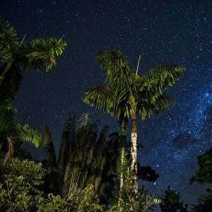 South America, Peru, Amazonia, South Manu National Park, night sky, UNESCO World