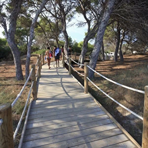 Spain, Balearic Islands, Ibiza, pathway to Platja de Ses Salines Beach