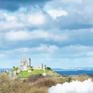 Dorset Collection: Corfe Castle