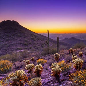Sunset at McDowell Sonoran Preserve, Scottsdale, Arizona, USA