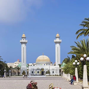 Tunisia, Monastir, Camel infront of Bourguiba mausoleum