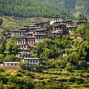 Typical bhutanese houses with temple on top. Timphu district, Bhutan