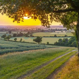 Bedfordshire Collection: Haynes