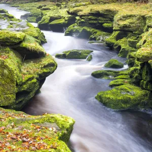 United Kingdom, England, North Yorkshire, Skipton