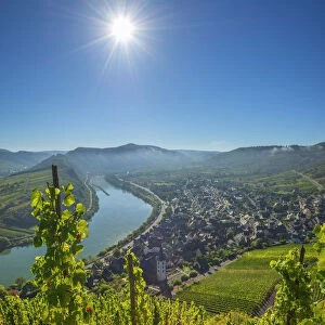 View from Calmont, Bremm, Mosel valley, Rhineland-Palatinate, Germany