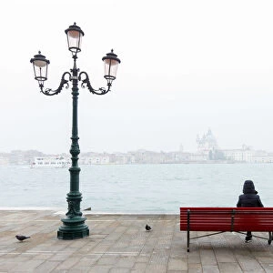View from the island of Guidecca on San Marco, Venice, Veneto, Italy