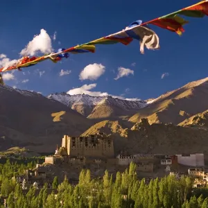 View across Leh and its historic Victory Fort, Leh, Ladakh, India