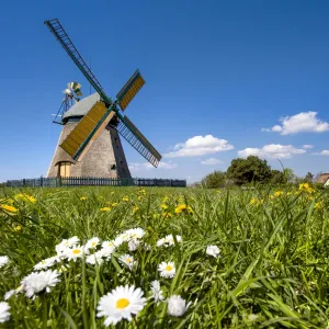 Windmill, Nebel, Amrum Island, Northern Frisia, Schleswig-Holstein, Germany