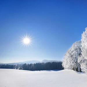 Winter landscape with hoar frost - Germany, Bavaria, Upper Bavaria, Miesbach