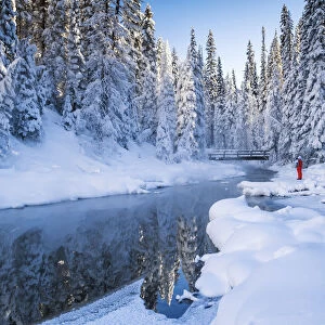 Woman in Winter Landscape, Emerald Lake, Yoho National Park, British Columbia, Canada