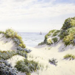 Sand Dunes on the Lincolnshire Coast