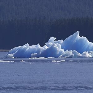 Iceberg / bergy bits calved off Sawyer Glacier in Tracy Arm, Southeasat Alaska, USA. Pacific Ocean