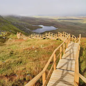 Ireland, County Fermanagh, Cuilcagh Mountain Park, Legnabrocky Trail to summit of Cuilcagh Mountain
