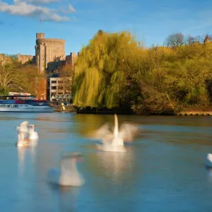 UK, England, Berkshire, Windsor, Windsor Castle and River Thames