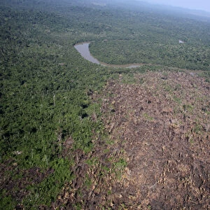 An aerial view of a tract of Amazon jungle recently cleared by loggers