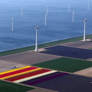 An aerial view of tulip fields near the city of Creil