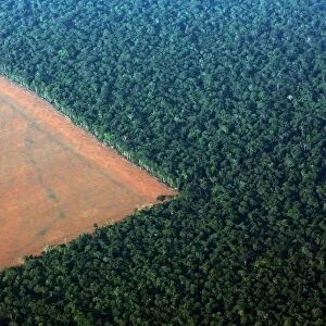 The Amazon rain forest (R), bordered by deforested land prepared for the planting of soybeans