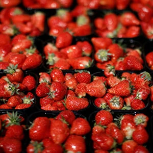 Boxes of fresh strawberries are displayed for sale in Copenhagen