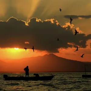 Costa Rica fishermen return with their catch as seagulls fly around their boat during