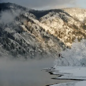 A dog stands on the frozen bank of the Yenisei River