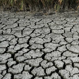 A dried-out part of Lake Koronia