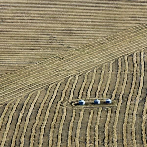 Farmers field during harvest in Manitoba