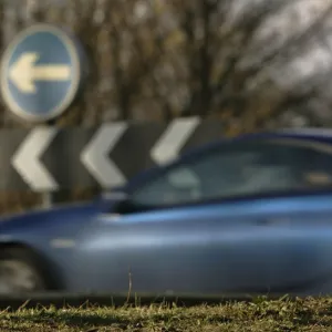 Feral chicken is seen at what is known locally as Chicken Roundabout in Ditchingham