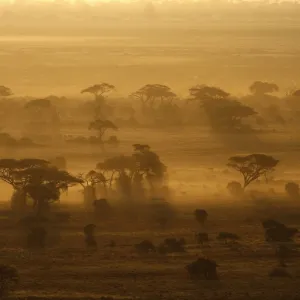 Reuters Collection: Kenya