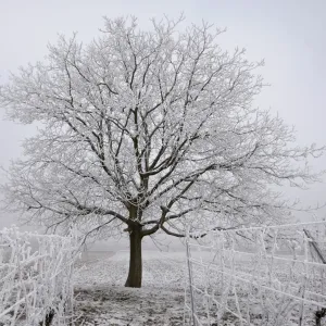 Reuters Collection: France