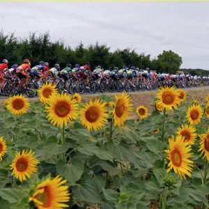 Reuters Collection: Cycling