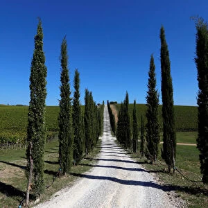 A gravel road is seen in San Gusme countryside in Tuscany