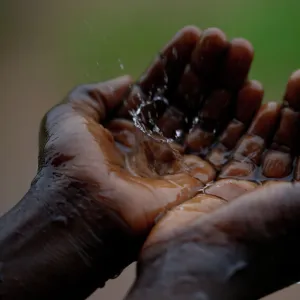 Africa Glass Place Mat Collection: Drought