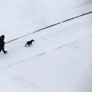 Man walks with a dog after snowfall in Minsk