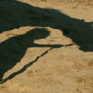 A shadow of horse and stable assistant is cast on the ground inside Tuen Mun Public