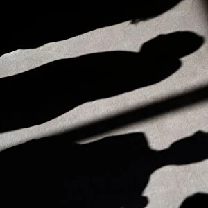Shadows of people are cast on the carpet of the United Nations Security Council before