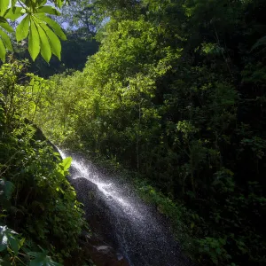 A small cascade is seen at the Manu Biosphere Reserve Cloud Forest in Perus southern