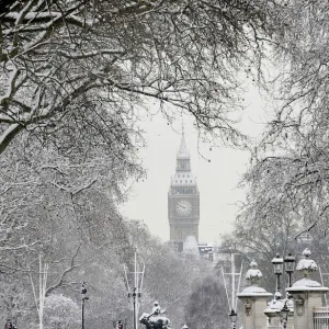 Snow covers tree branches in front of the Houses of Parliament