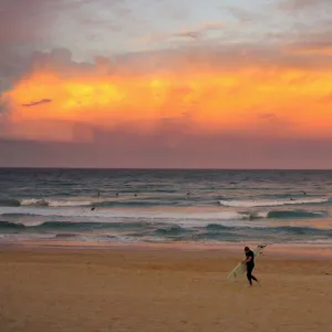 A surfer carrying his board walks out of the ocean as a cloud is lit by the setting