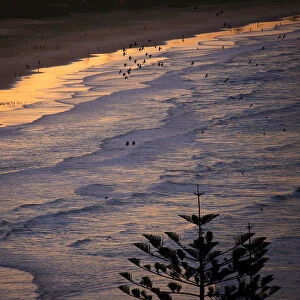 Surfers sit on top of their boards as people walk along the shoreline at sunset on Palm