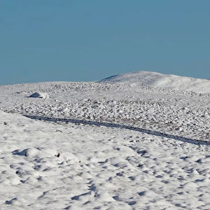 A tree casts a shadow on snow covered moorland near Pitlochry