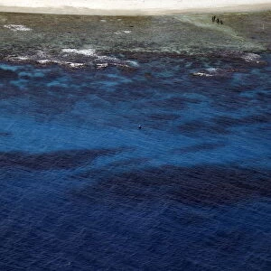 Wider Image - Great Barrier Reef At Risk