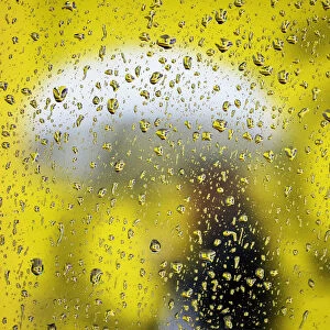 A woman carrying an umbrella is pictured from behind a car window covered with rain