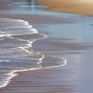 A woman walks with her dog into the surf at Fingal Beach, south of the Queensland