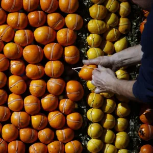 A worker puts the final touches to a pattern made with lemons and oranges during the