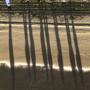 WORKERS CAST SHADOWS ON A CLEAN BEACH IN THE SPANISH NORTHERN COAST