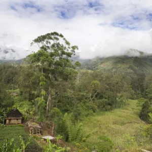 Agriculture and habitation in valley in Western Highlands near Mt Hagen Papua New Guinea