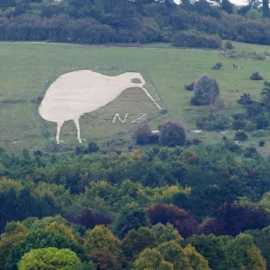 Chalk Kiwi on Beacon Hill above Bulford Wiltshire Kiwi was constructed to commemorate