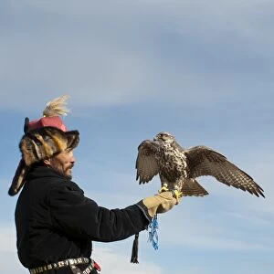Kazhak Falconer with Saker Falcon at eagle hunters festival in western Mongolia