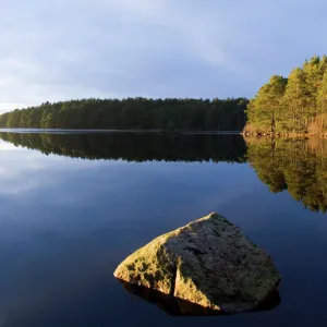 Loch Garten Cairngorm Nationmal Park Scotland winter