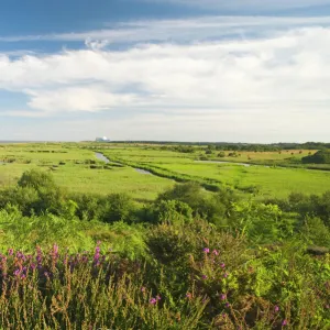 View across Minsmere RSPB Reserve from Dunwich Suffolk July